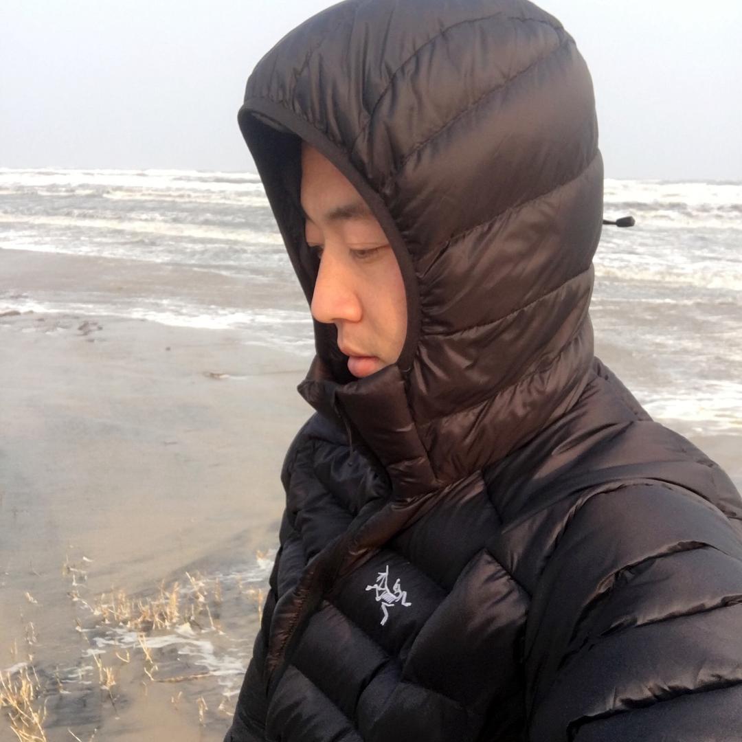 乐亭小桐