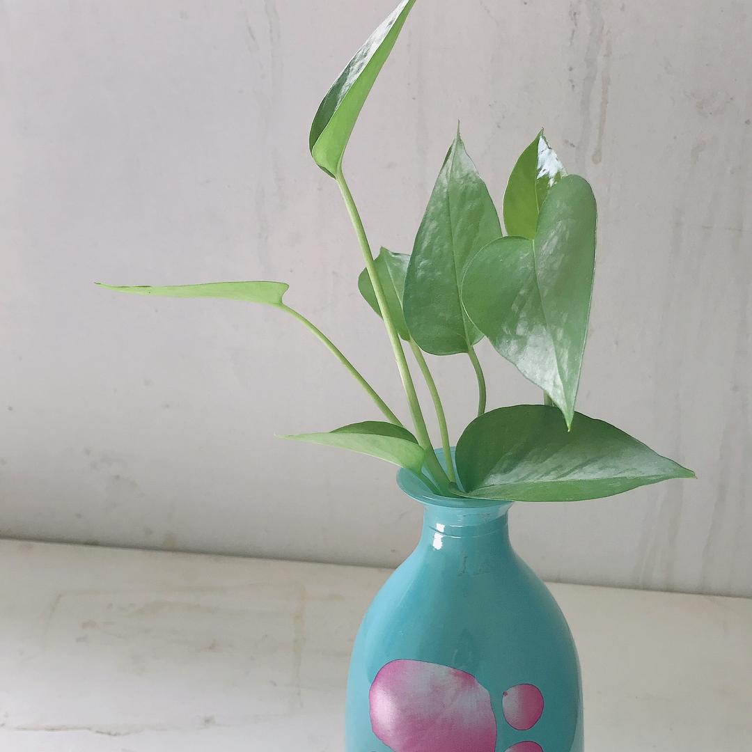 後唻，莪們嘟莣孒誓訁