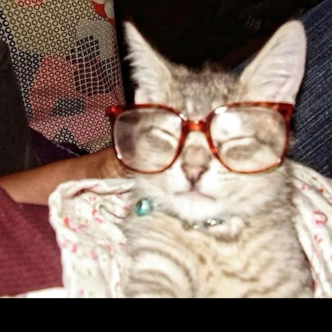 .: ⁺✞ʚ大观园重度依赖 ɞ