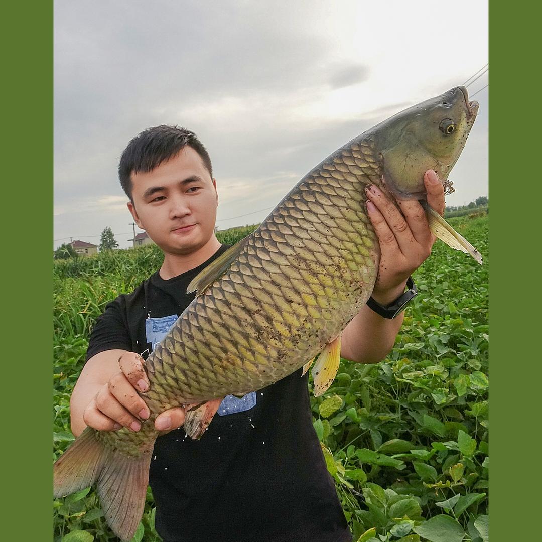 兴化鼎漂