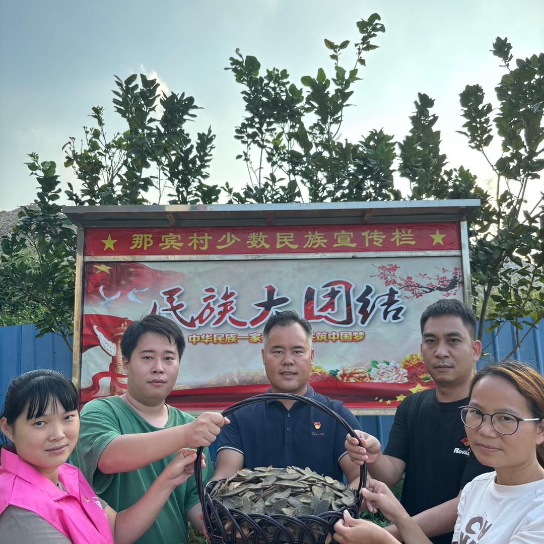 那宾村支书李中柱—金睿化橘红