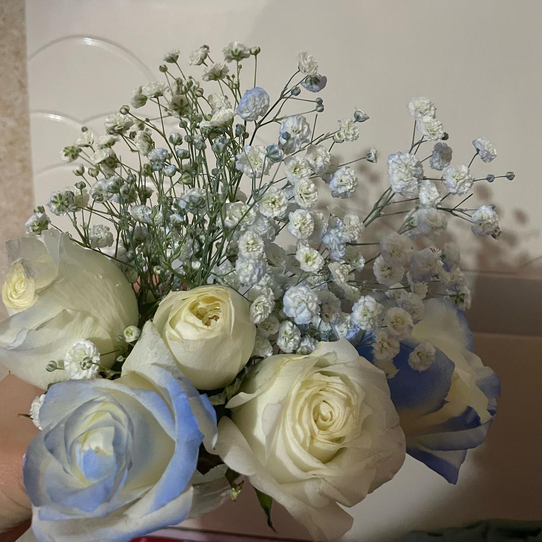 🌸 岁月静好 🌸