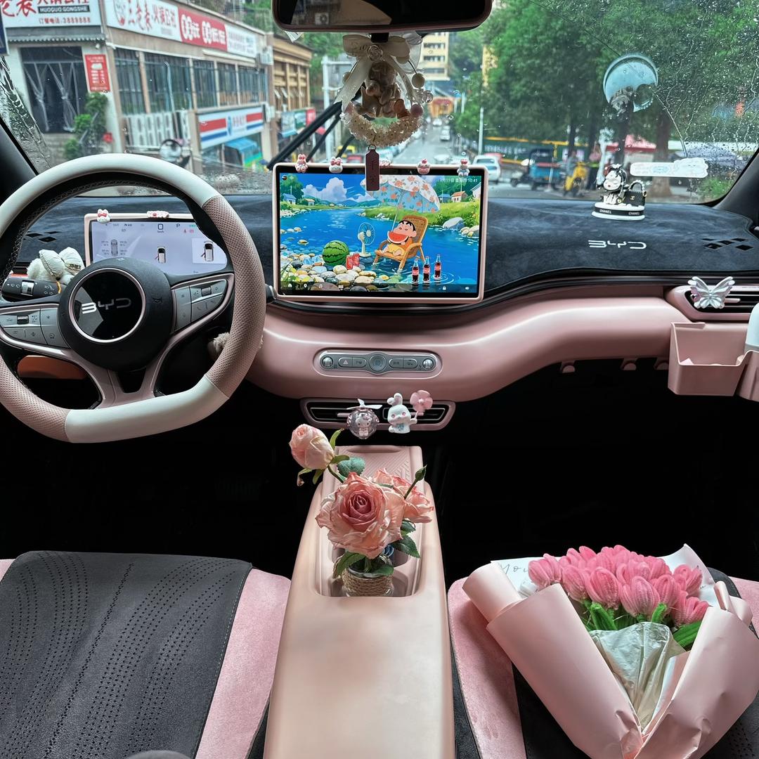 窝窝头的海鸥🚗（智驾版）