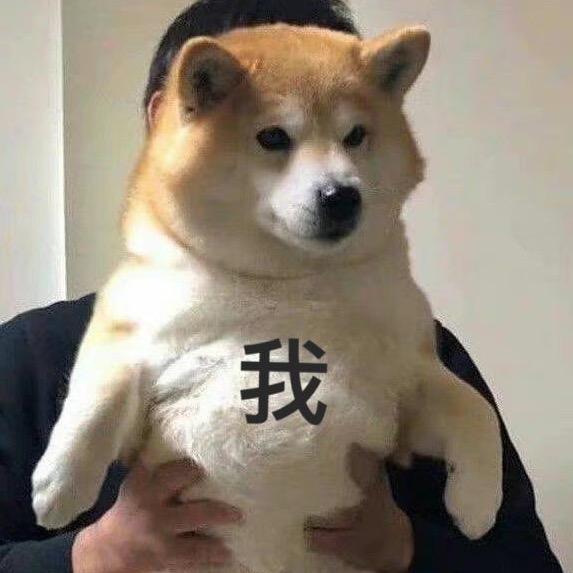 小熊猫猫