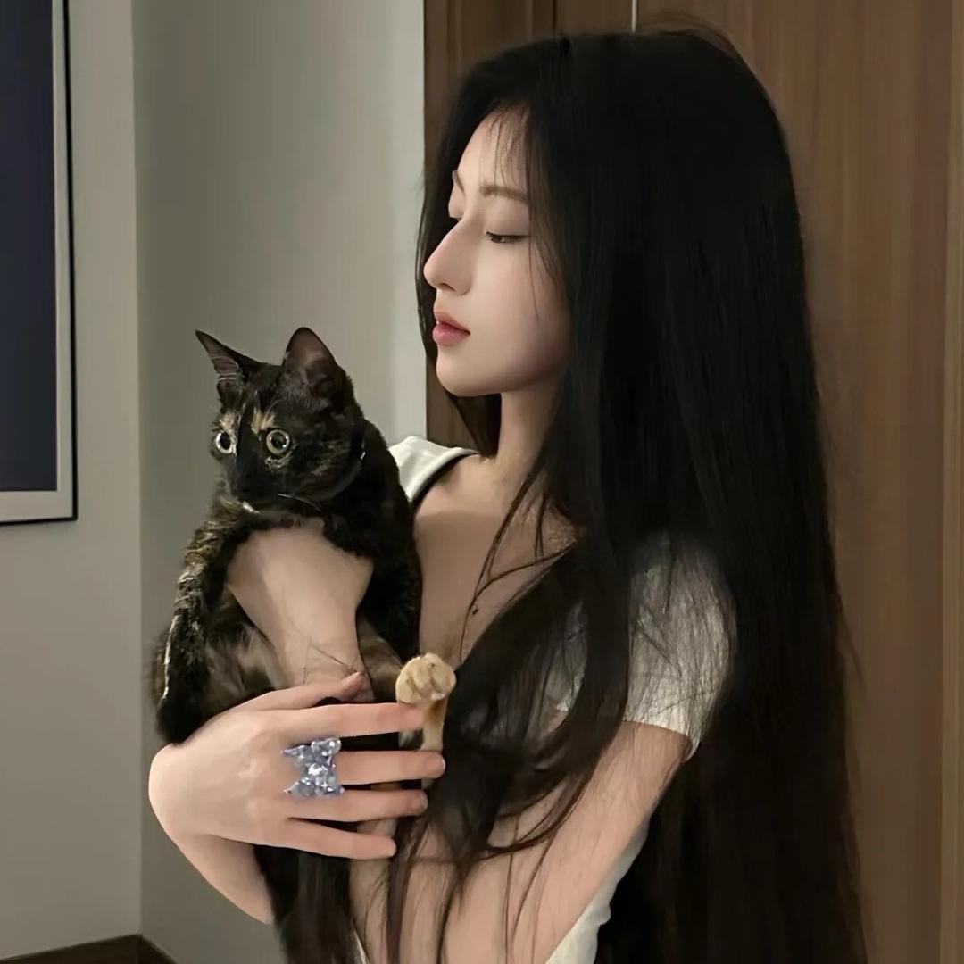 和平～～小熊