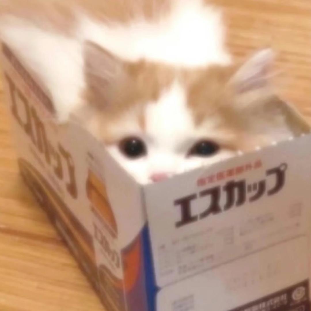 N1iioO🥨