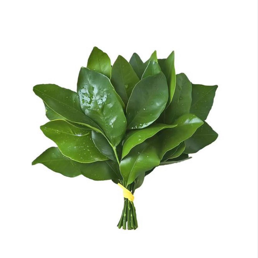 十 一