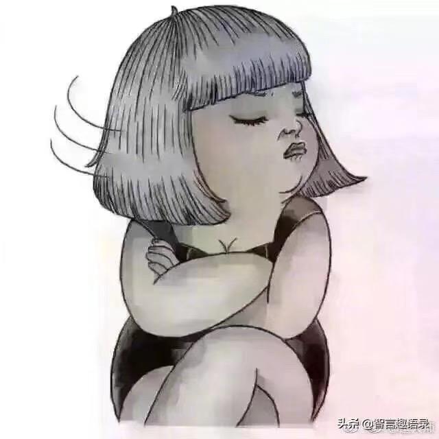 ✨乐乐✨