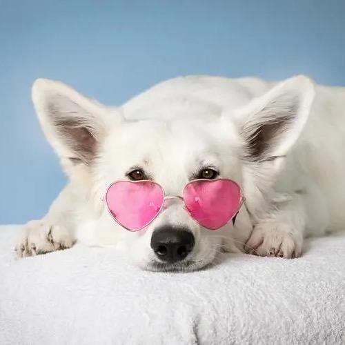 还用户名太懒还没有想好网名