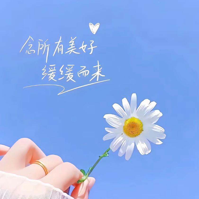 孟姐牵线