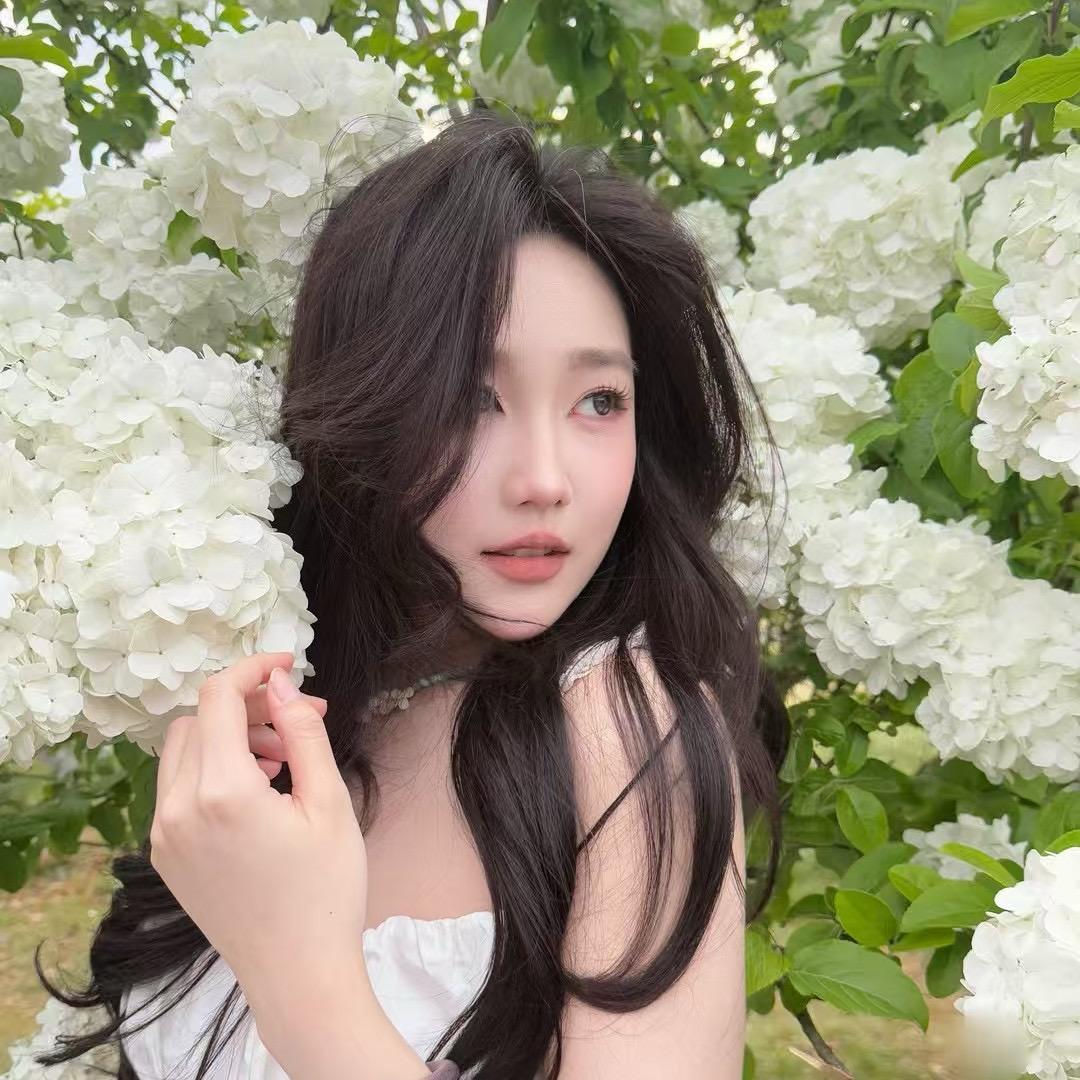 麦当当studio