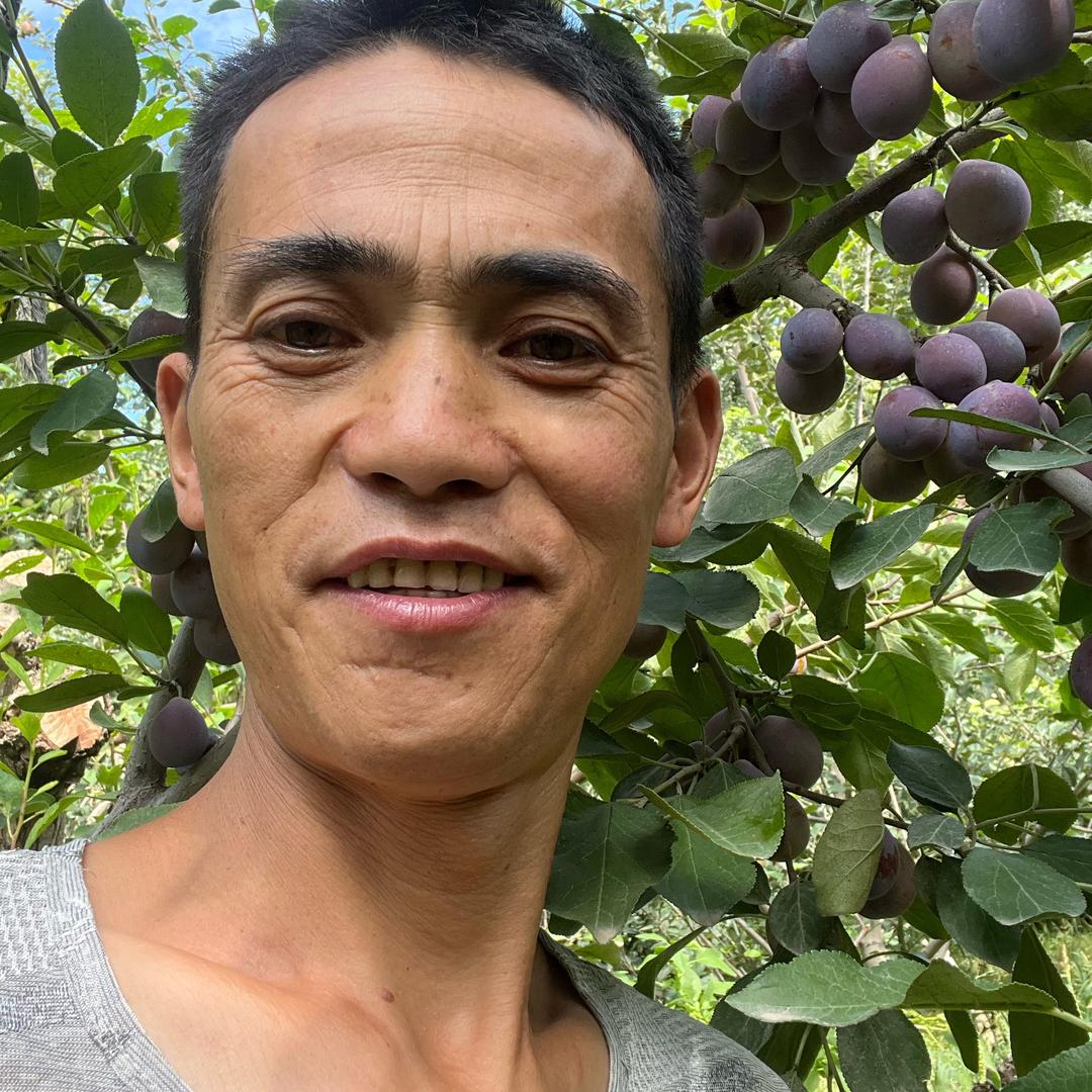 发哥干鲜果品店