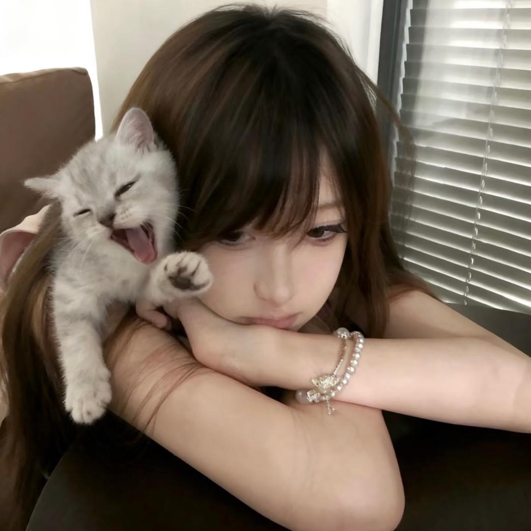 🐰小Y
