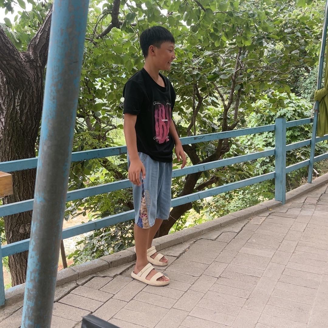 典宝