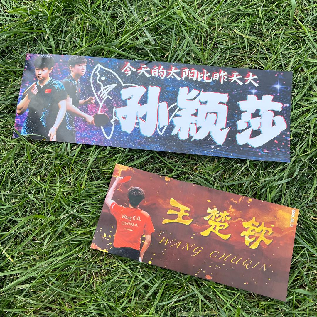 钦爱的小鲨鱼