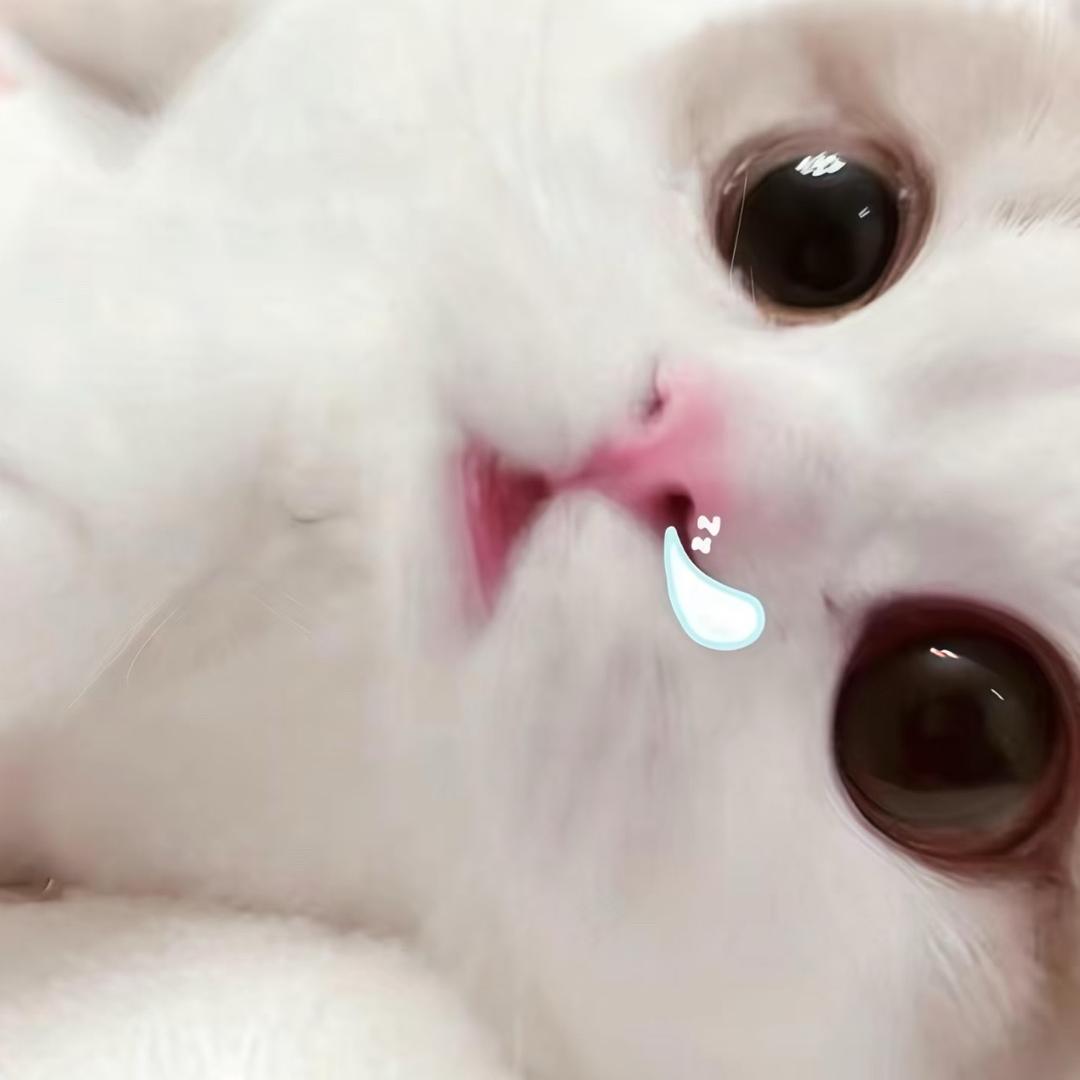 起床了小茹