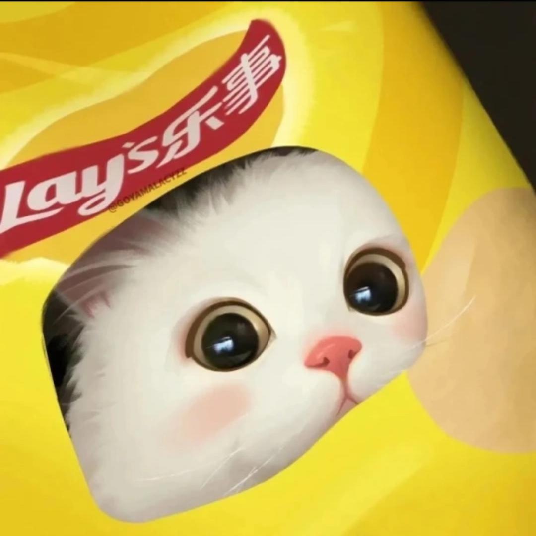 桃桃