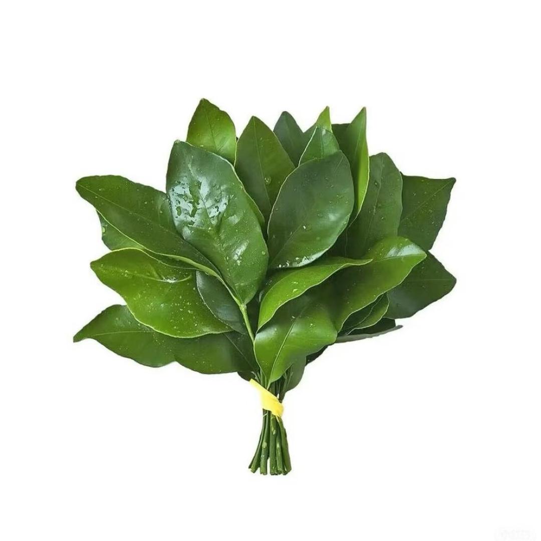 气人小狗