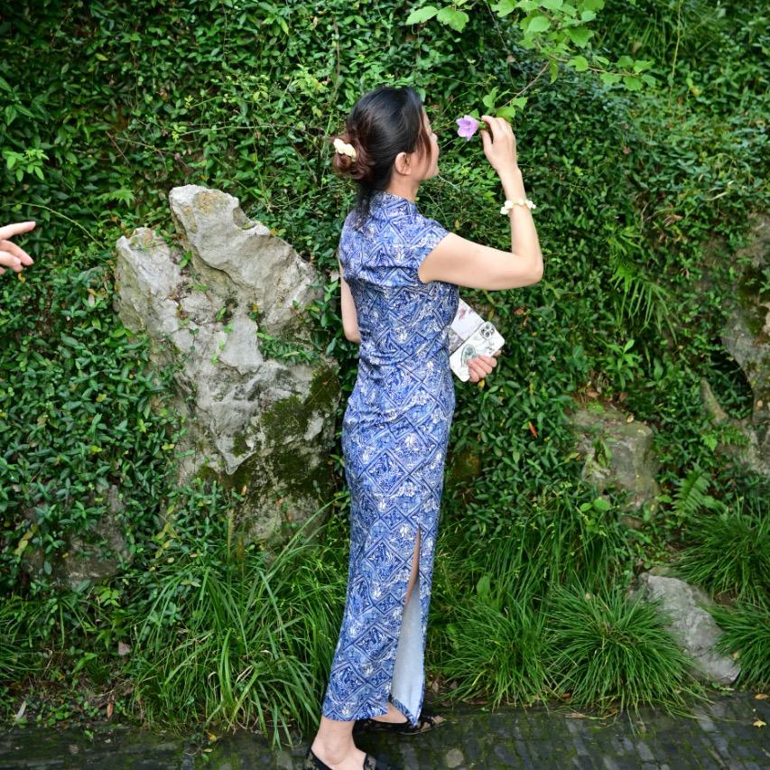白家大小姐