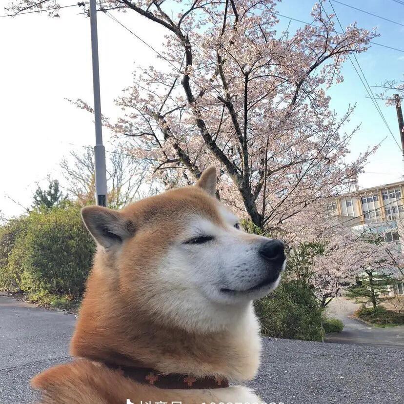 超人不会飞