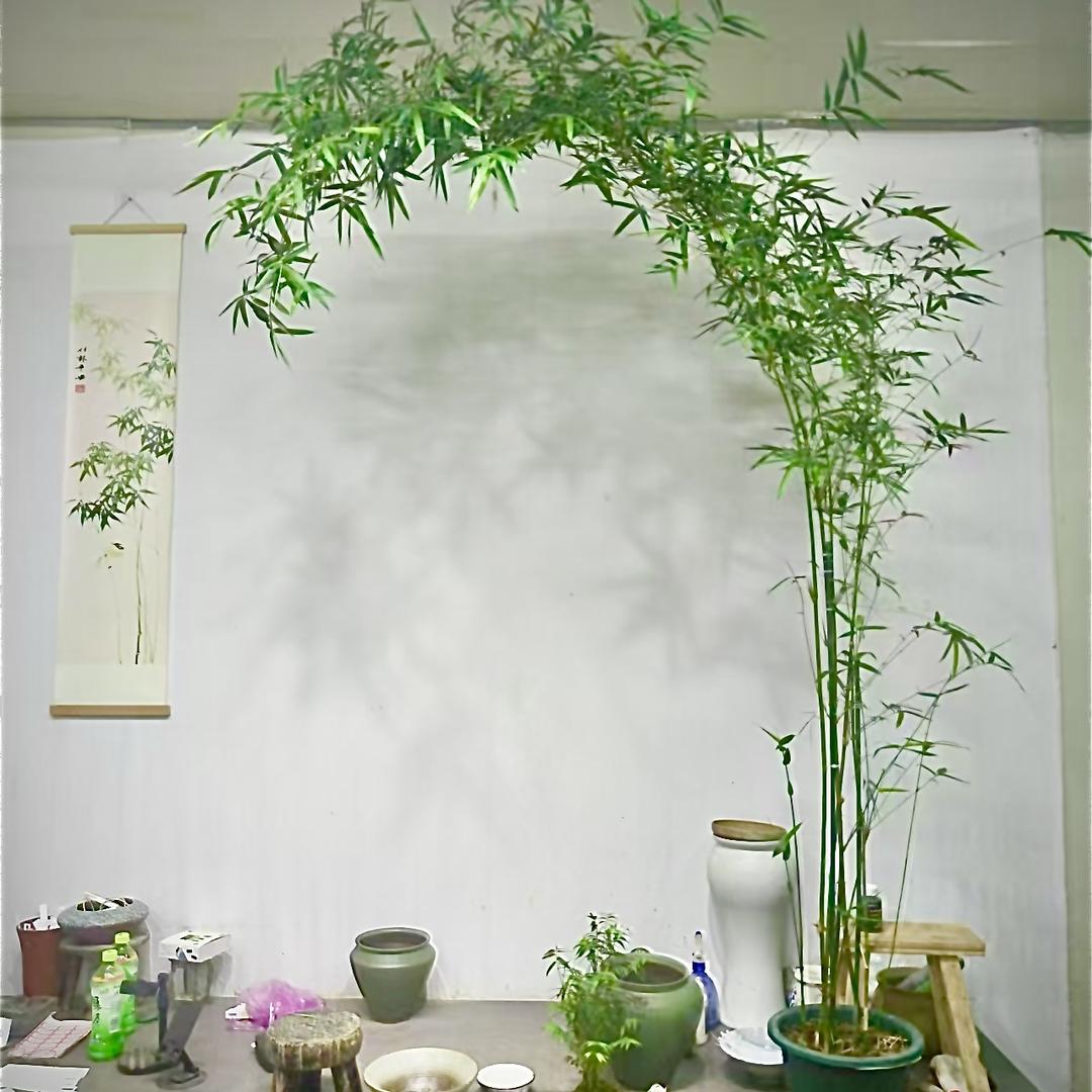 千景花卉创意屋