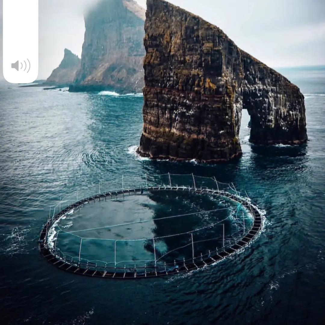 奥莱轻奢买手店