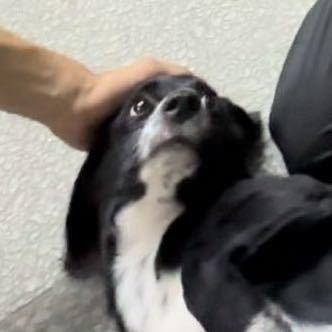 溥通