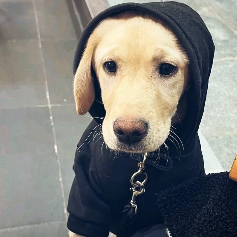 今晚一定早点睡