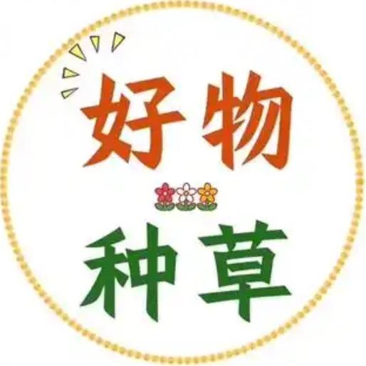 甄选好物推荐