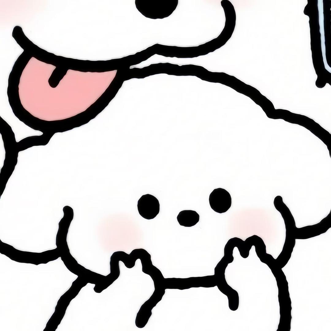 小白o