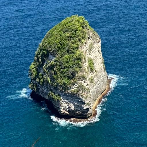雷·老师