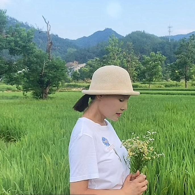 ☀️朝颜