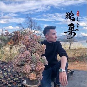 鹏哥多肉花园基地