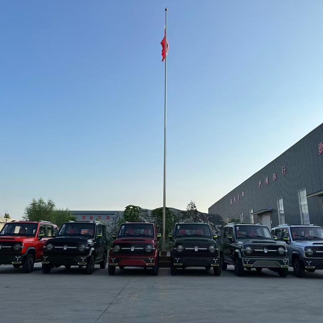 金蓬四轮代步车