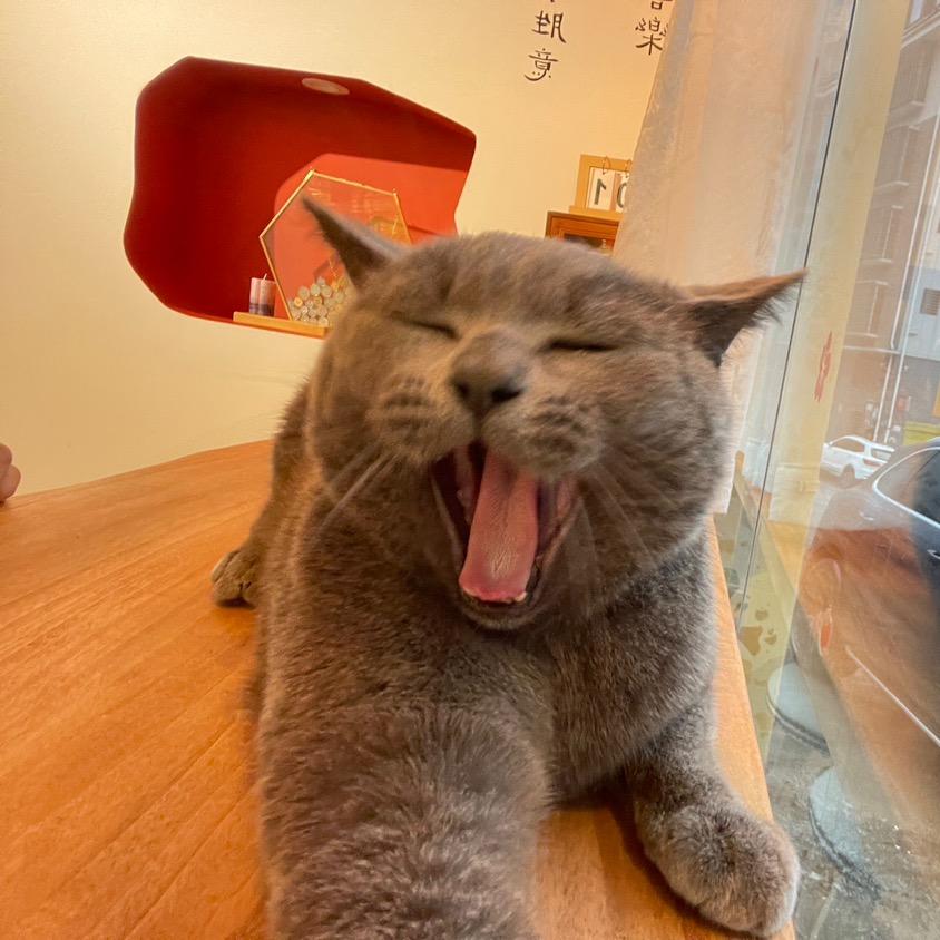 睡眠艺术家💤