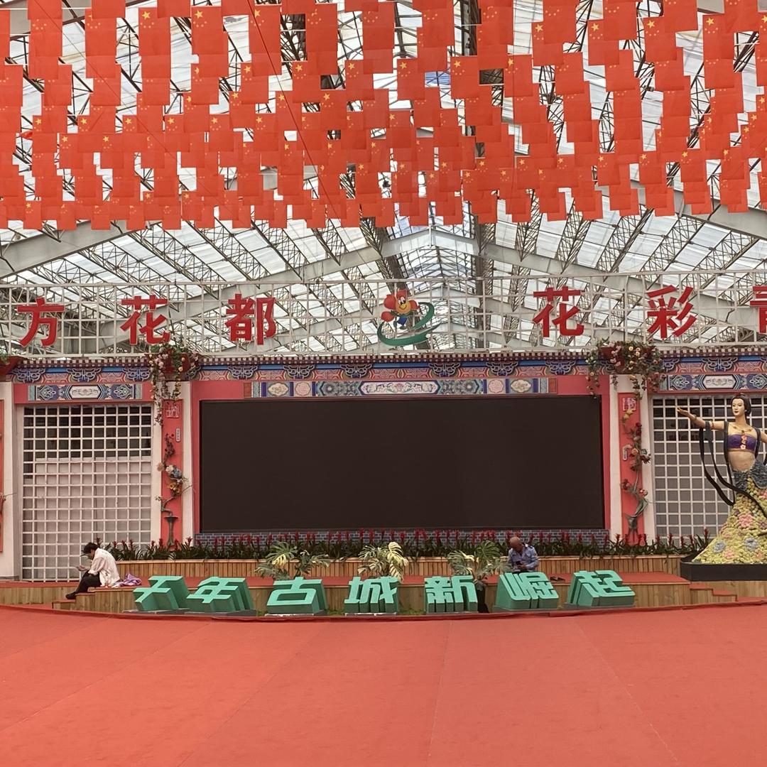 哆哆秋海棠