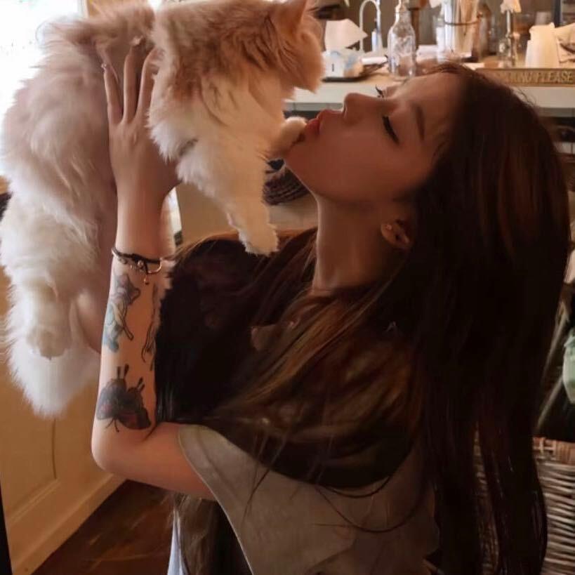 运小新🌈（努力版）