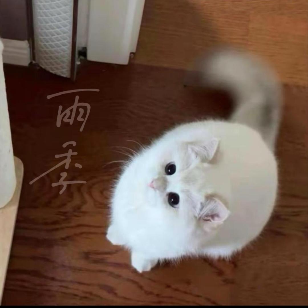 不爱喝酒