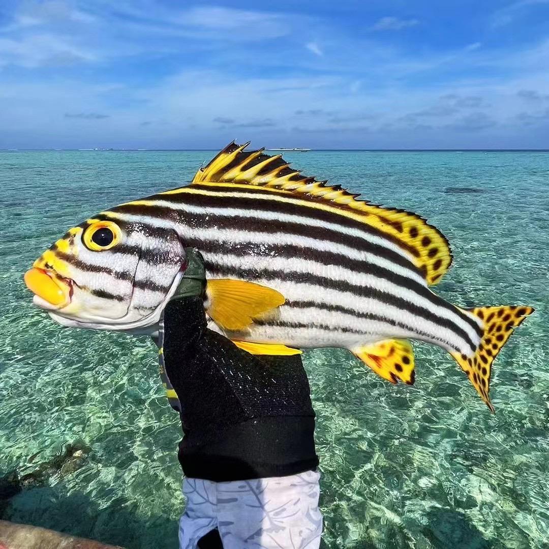 鲜鲜源