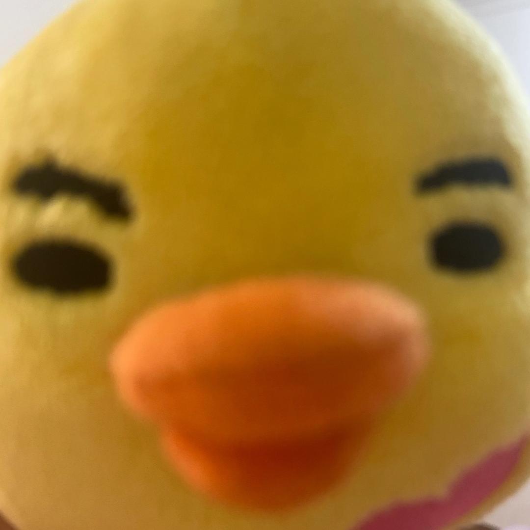 Xxx有牙