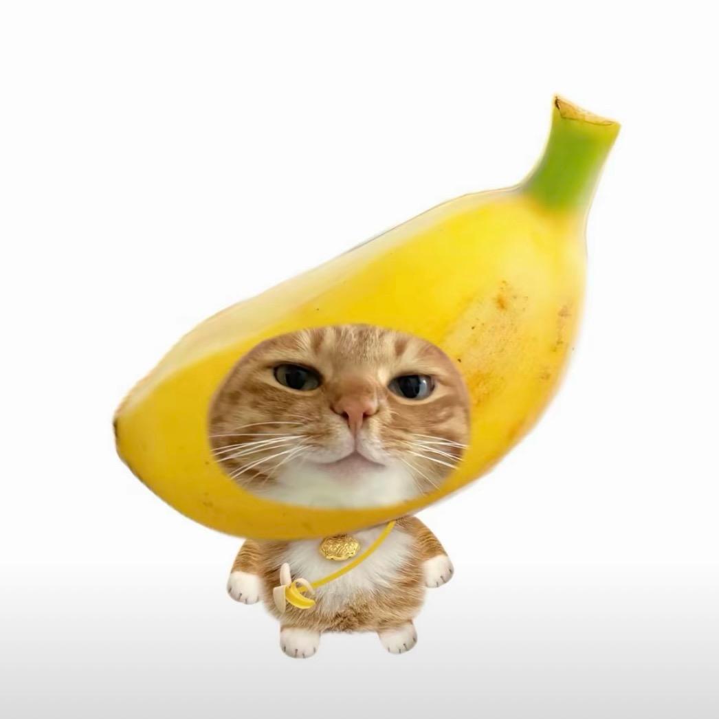 真^-^真