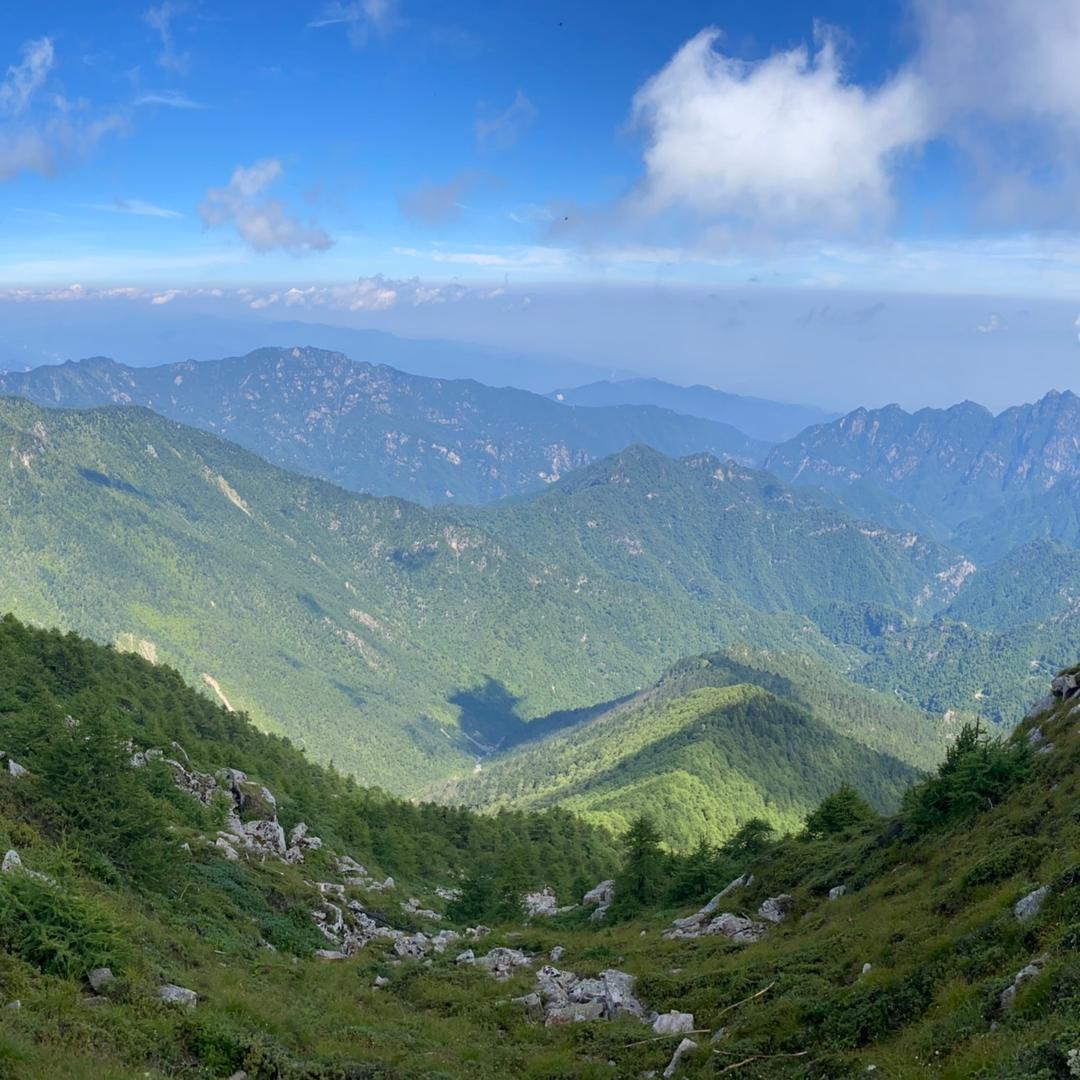 🏡 社保科普…（招分公司）