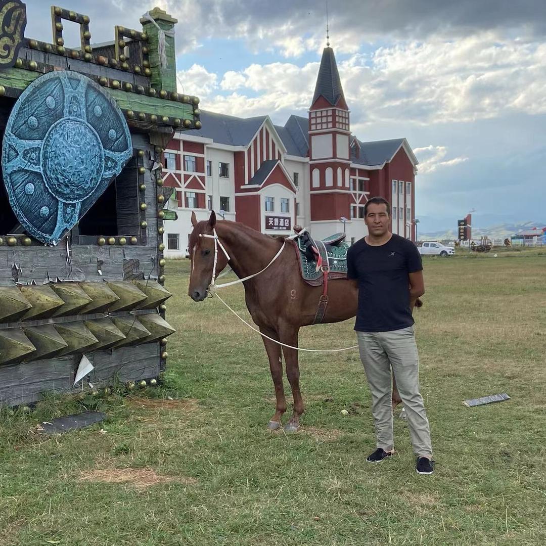 黑八马业🎱🎱🎱🎱