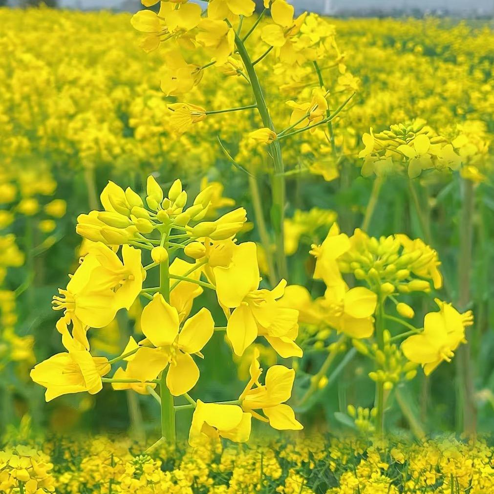 智 慧