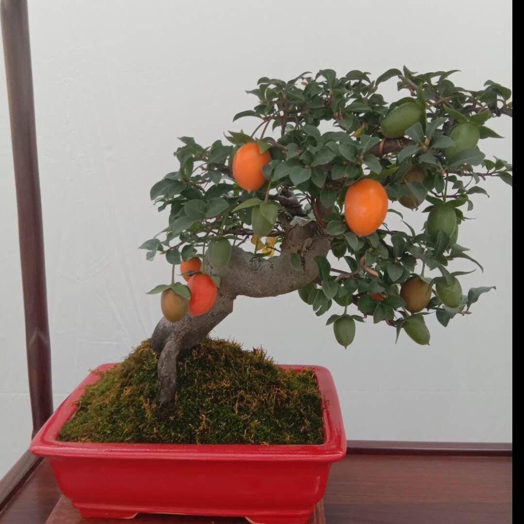 琼江花艺
