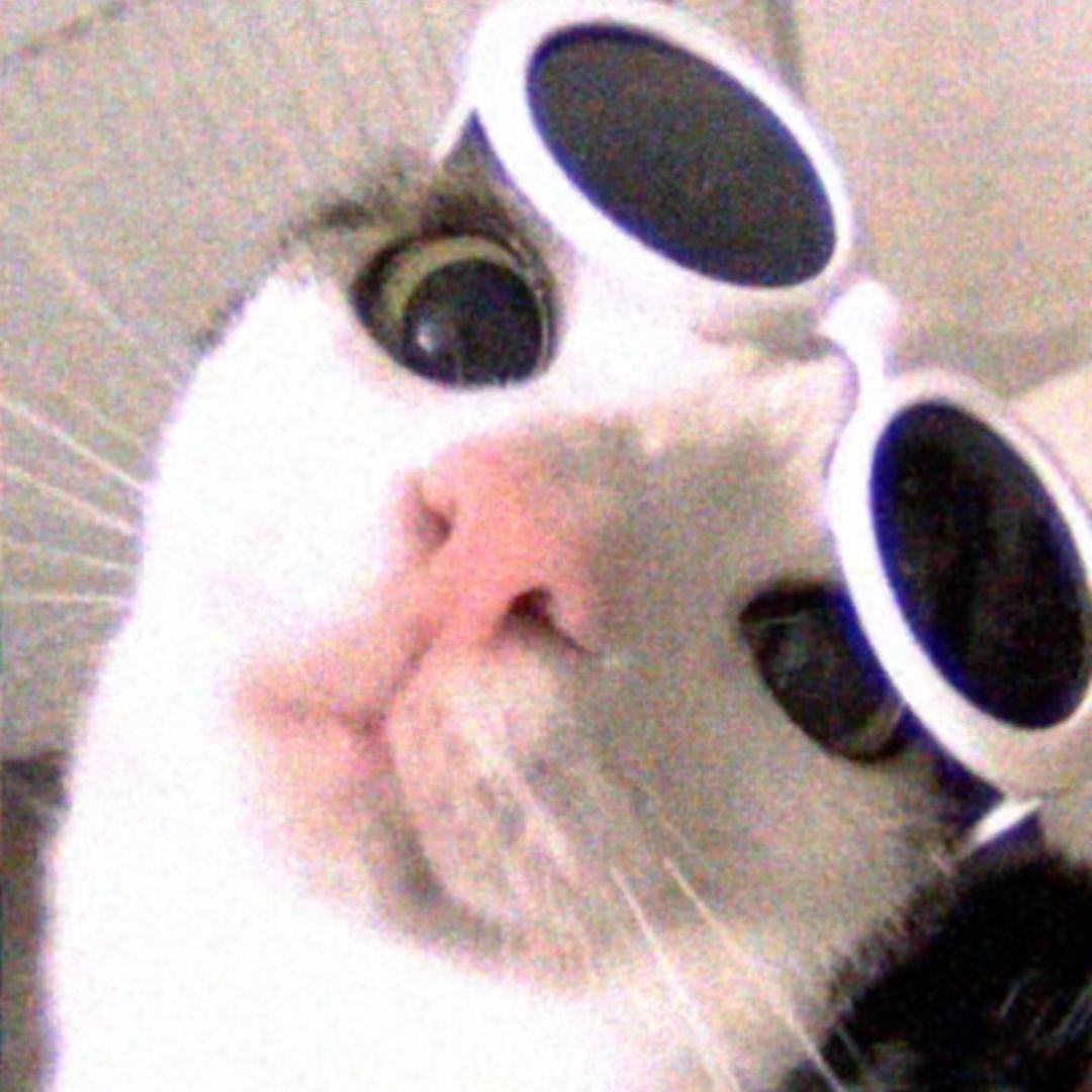 豹炸😎