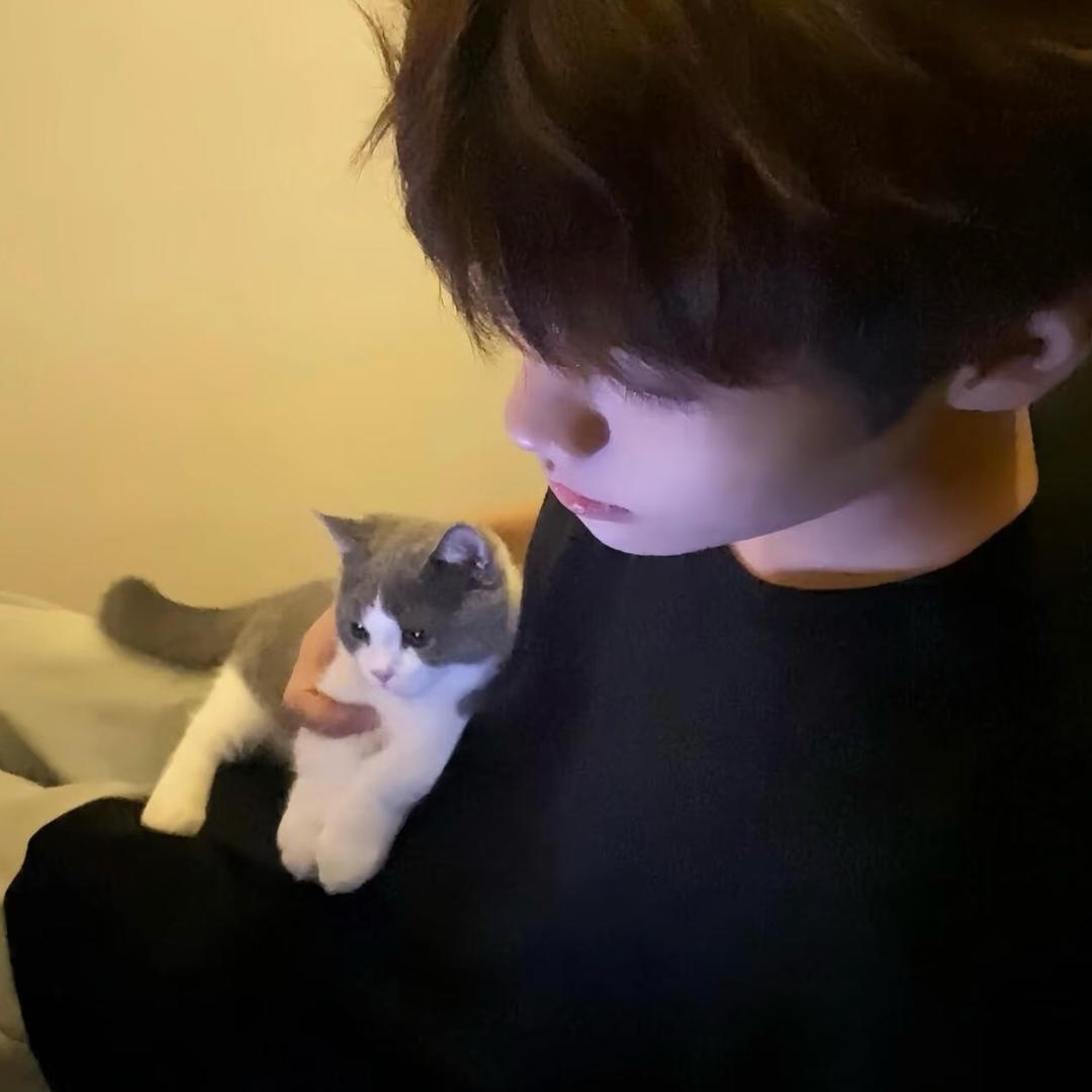 洋