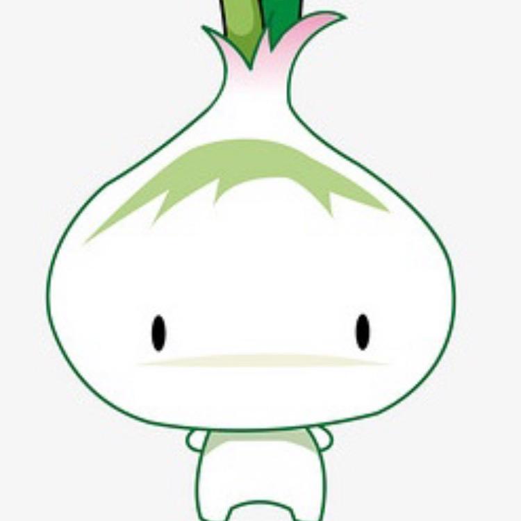 蒜头小新
