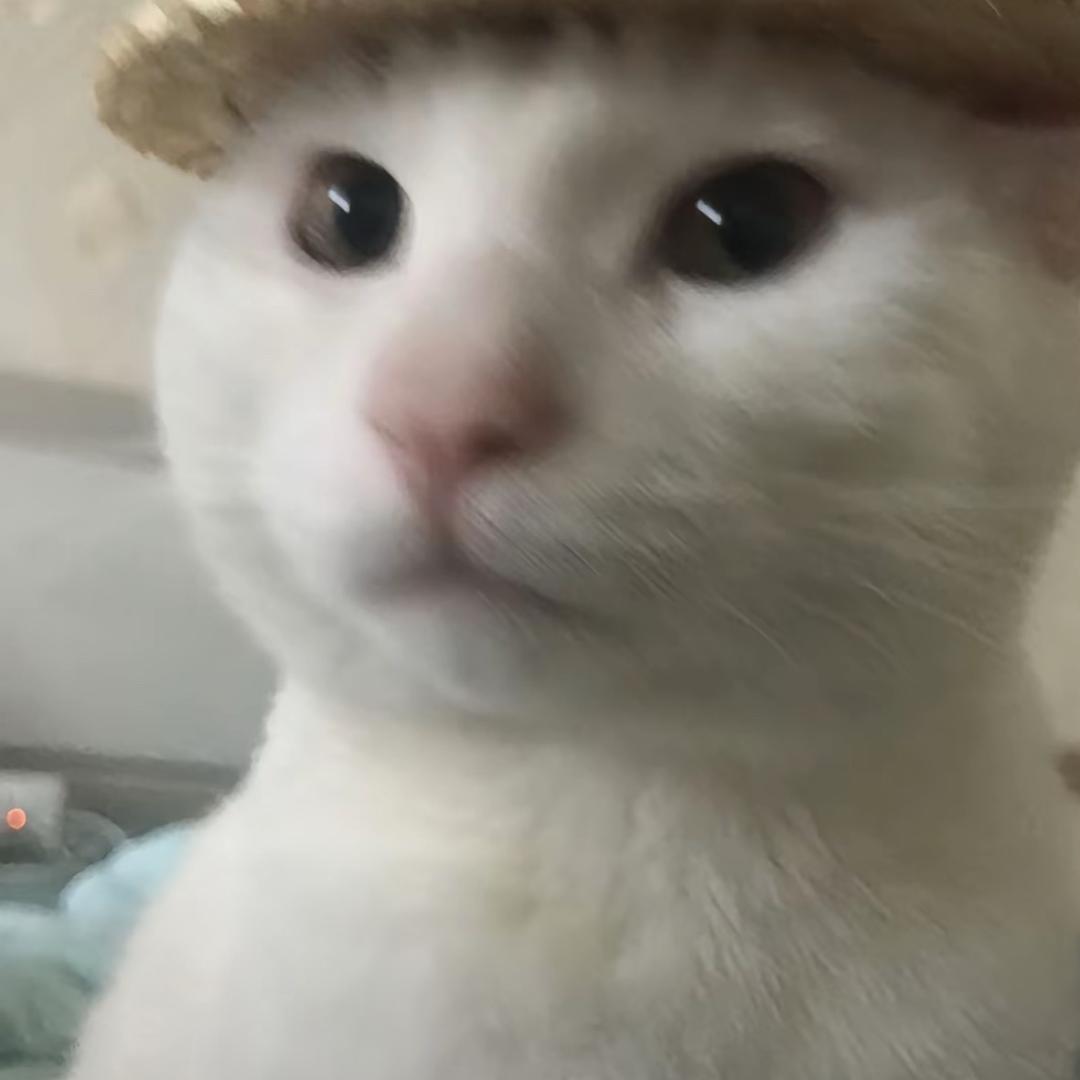 黑鸭煲煲