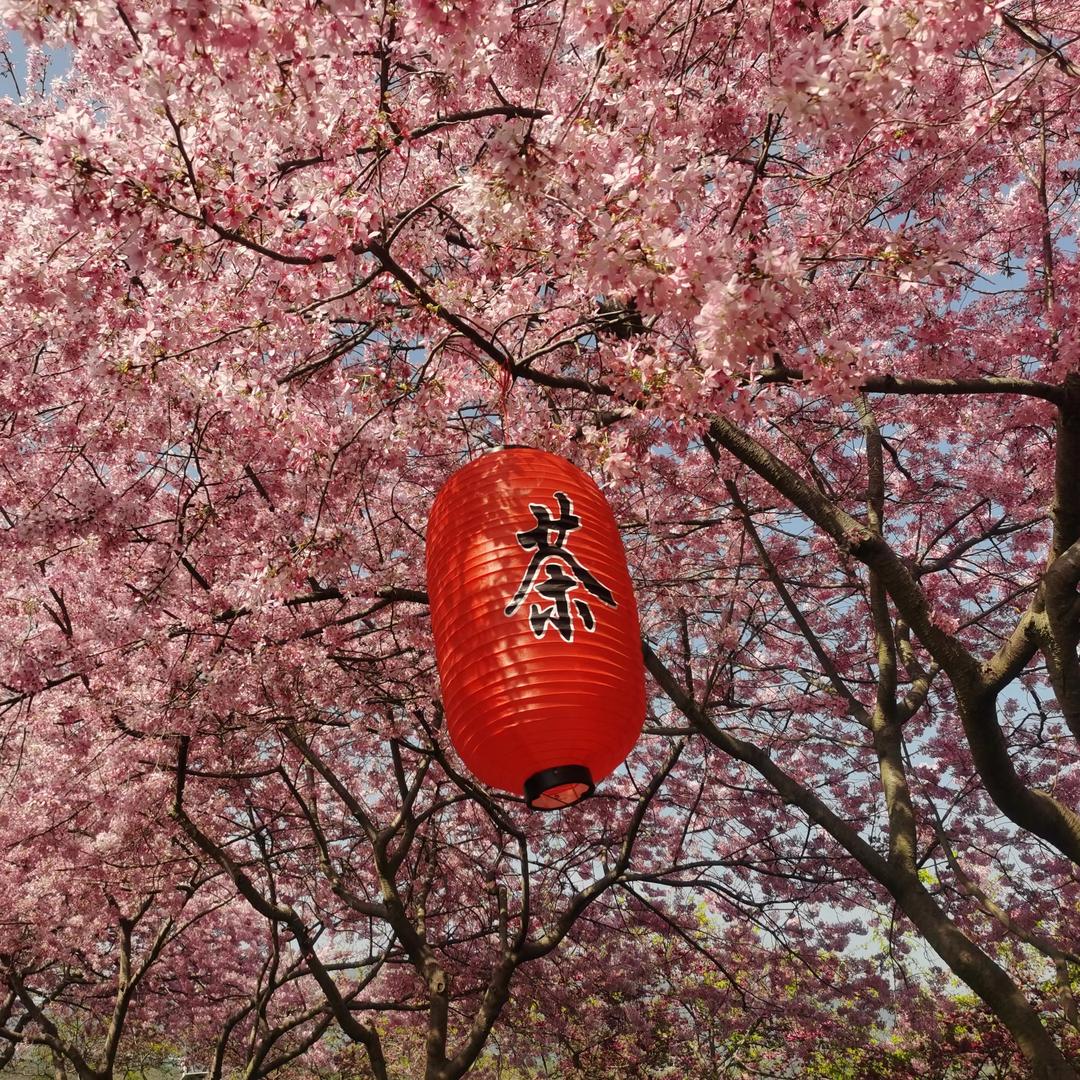 忠育花木场